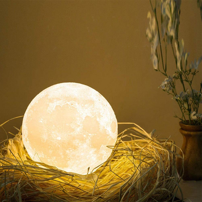 clair de lune 3d